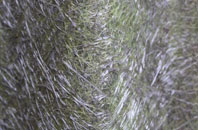 Amble fibreglass roof work